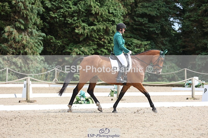250718A-152826-02577 - 152-Tracy.OKennedy-Wylye.Harlequin