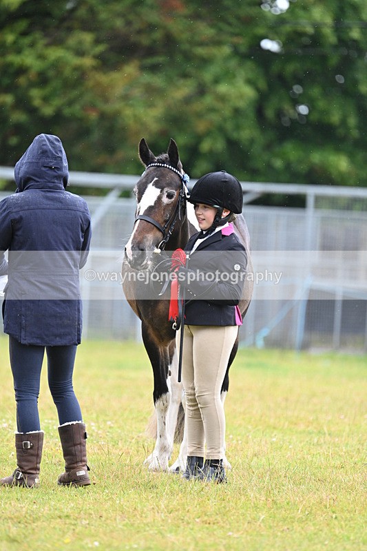 WJ7_5900 - Class 4 Prettiest Mare in Hand