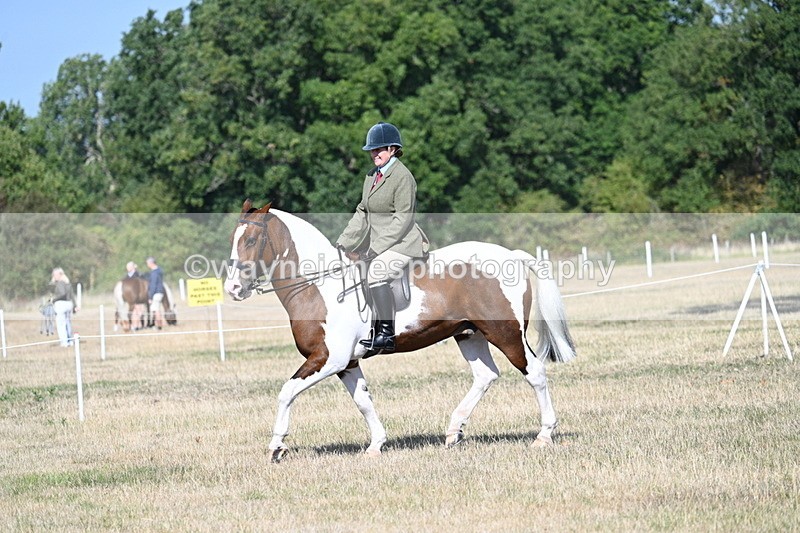 WJ7_2849 - Class 8 Ridden Tack & Turnout