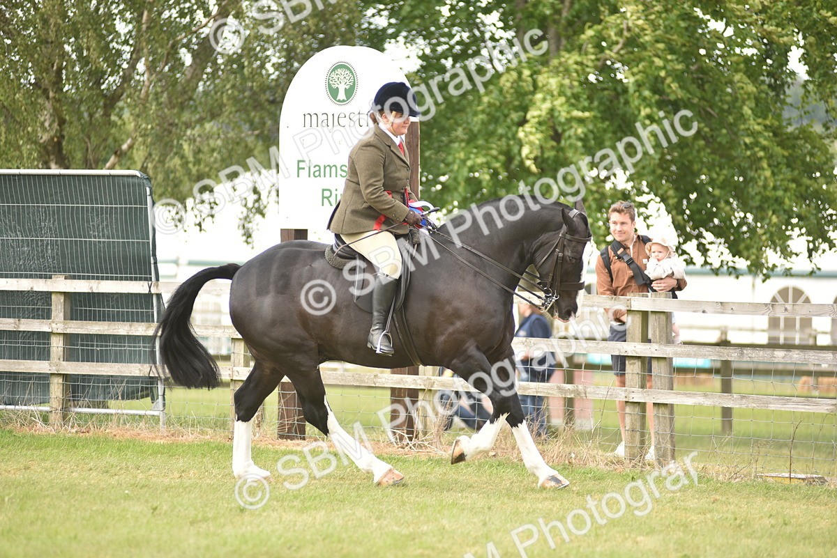 SBM_18267 - Class 122-123 - LIHS BHSA Raising Star Style and Performance Series
