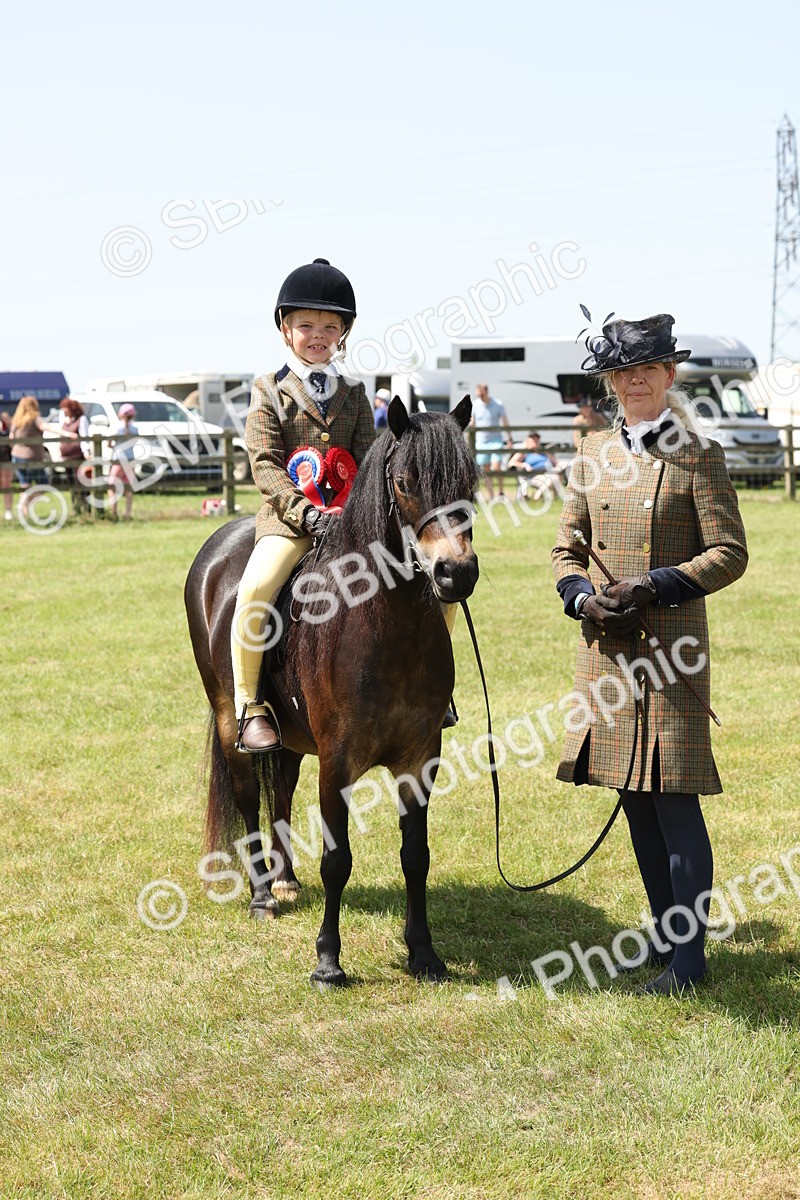 SBM_05416 - Class 24-25 - Mountain & Moorland In Hand Lead Rein and First Ridden