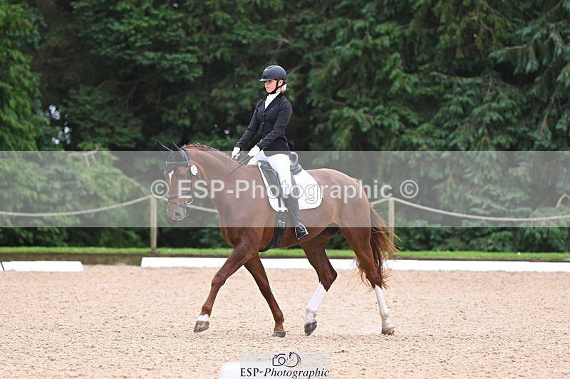 240809-121654-00723 - 185-Daisy.Hedges-Felicia.v