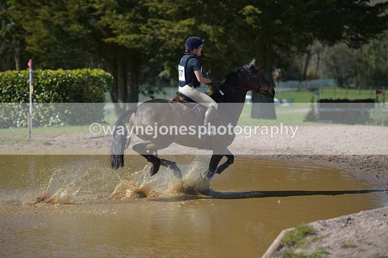 NGP_8178 - XC Time 13:29 to 13:34