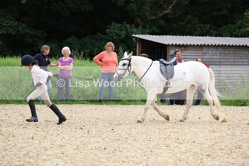 3E7A9624 - Walk trot run