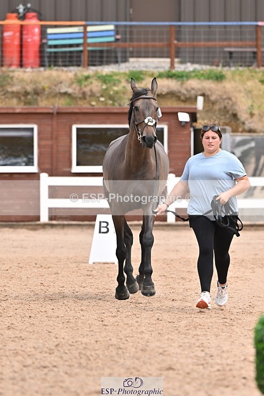 250716-142431-01062 - Trot Up 1.30 to 2.30