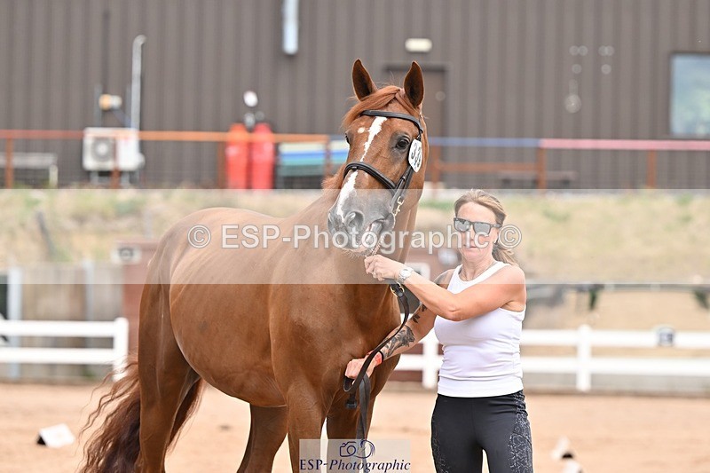 250716-153253-02000 - Trot Up 3.30 to 4.30