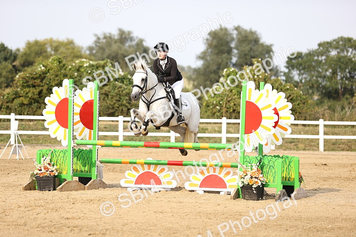 SBM_03931