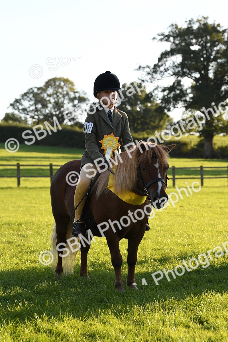 SBM_56446 - 1st Ridden Supreme Championship