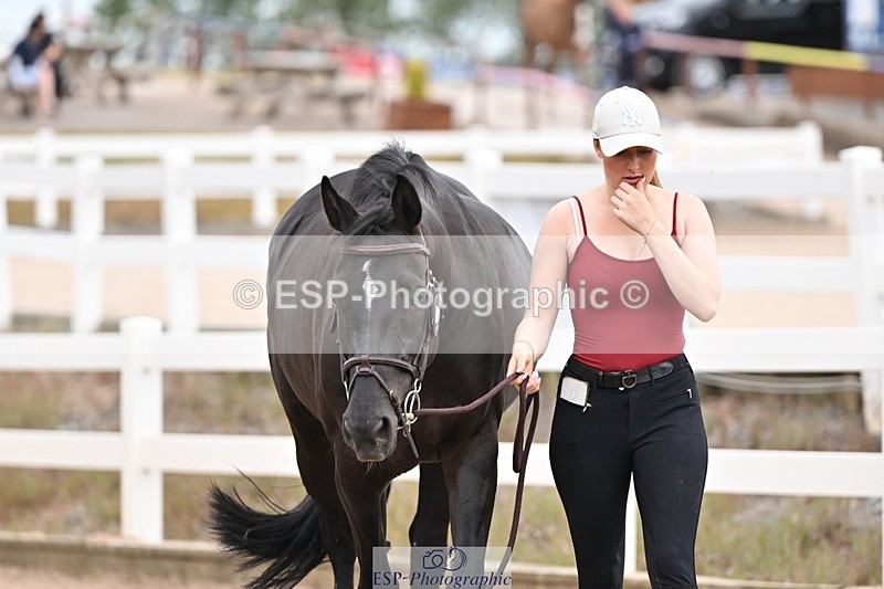 250716-161246-02500 - Trot Up 3.30 to 4.30