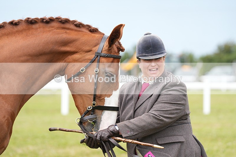 DSC06162 - Class 54: Hunter/Riding Horse/Hack 1 & 2 yr olds