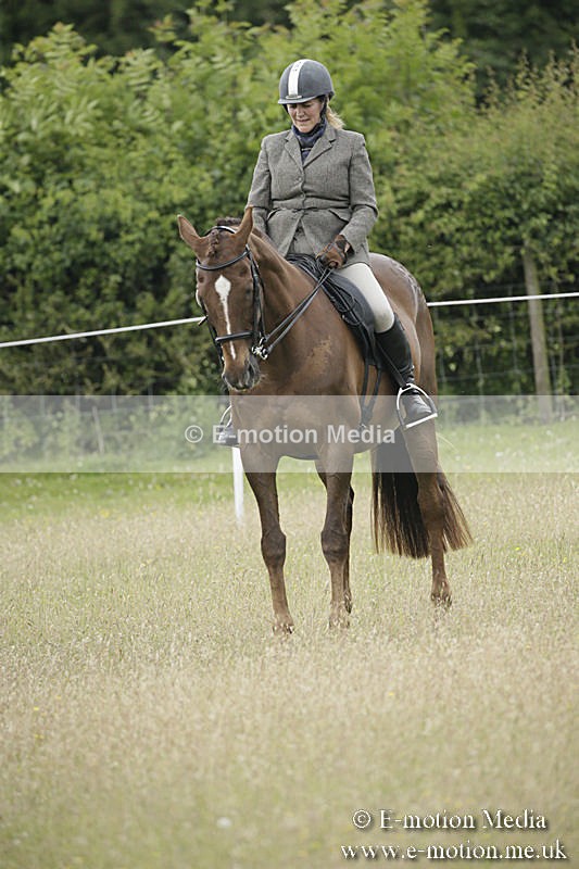 B230619-0342 - Bourne Valley Riding Club Summer Show 23/06/19