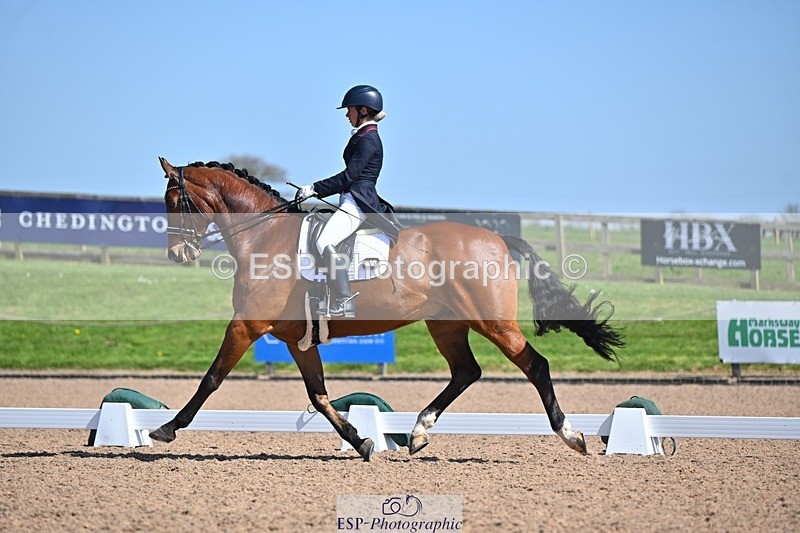 250405-130006-10807 - 028-Elizabeth.Allen-Heraldik