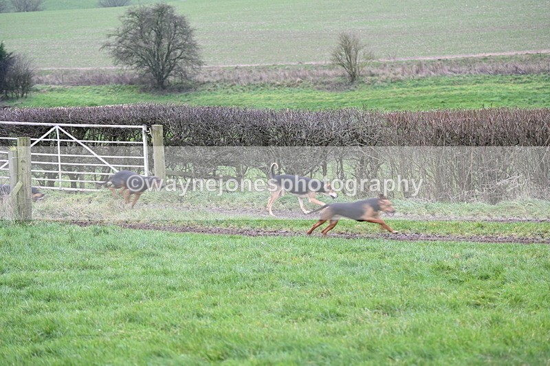 WJ6_2076 - Camera 2