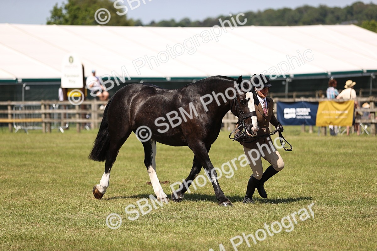 SBM_17926 - Class 81-83 - TSR Ridden Amateur of the Year - Horses