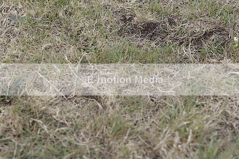 BVHT 140517 I-755 - Class 1 SJ Intermediate 14/05/17