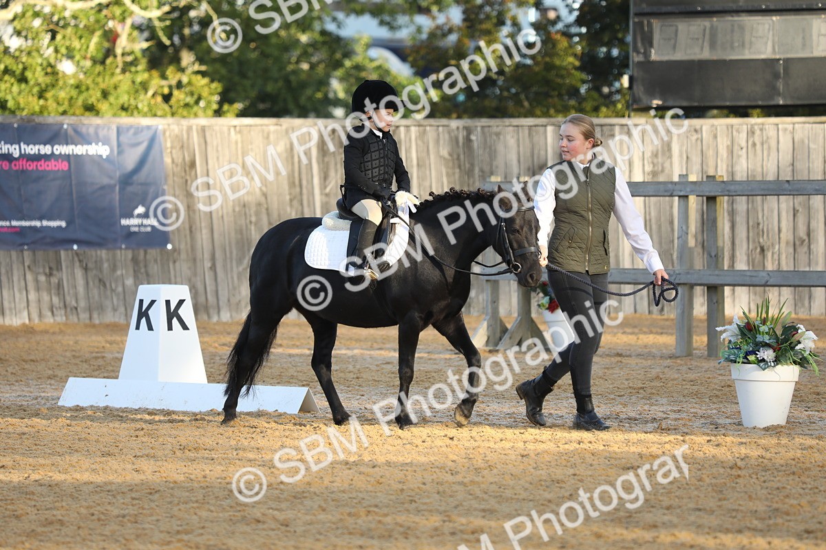 SBM_33559 - D26 - Starers - Lead Rein