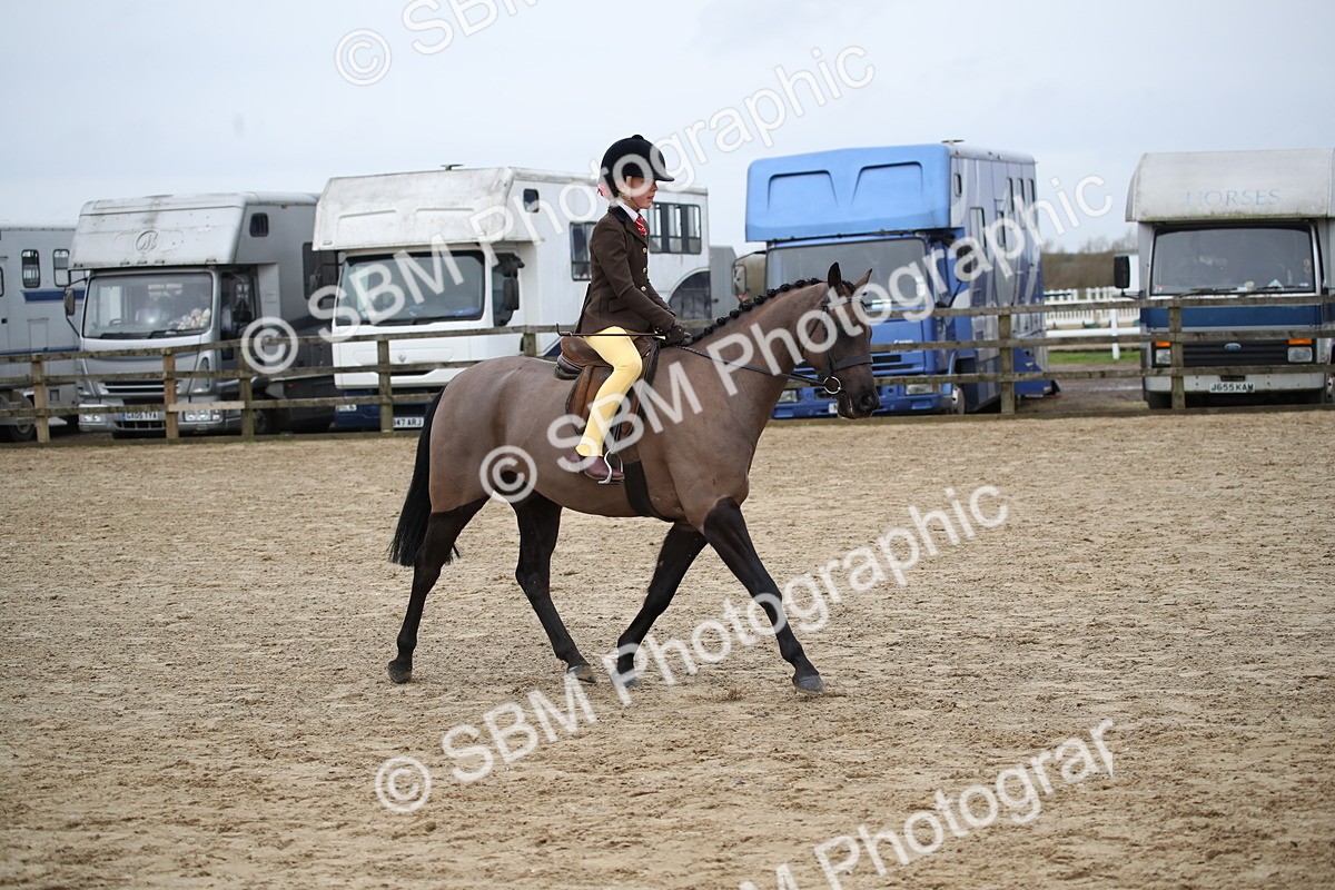 SBM_004606 - Class 5-9 - NPS In Hand-Show Hunter-Intermediate Ridden Inc Ridden Championship