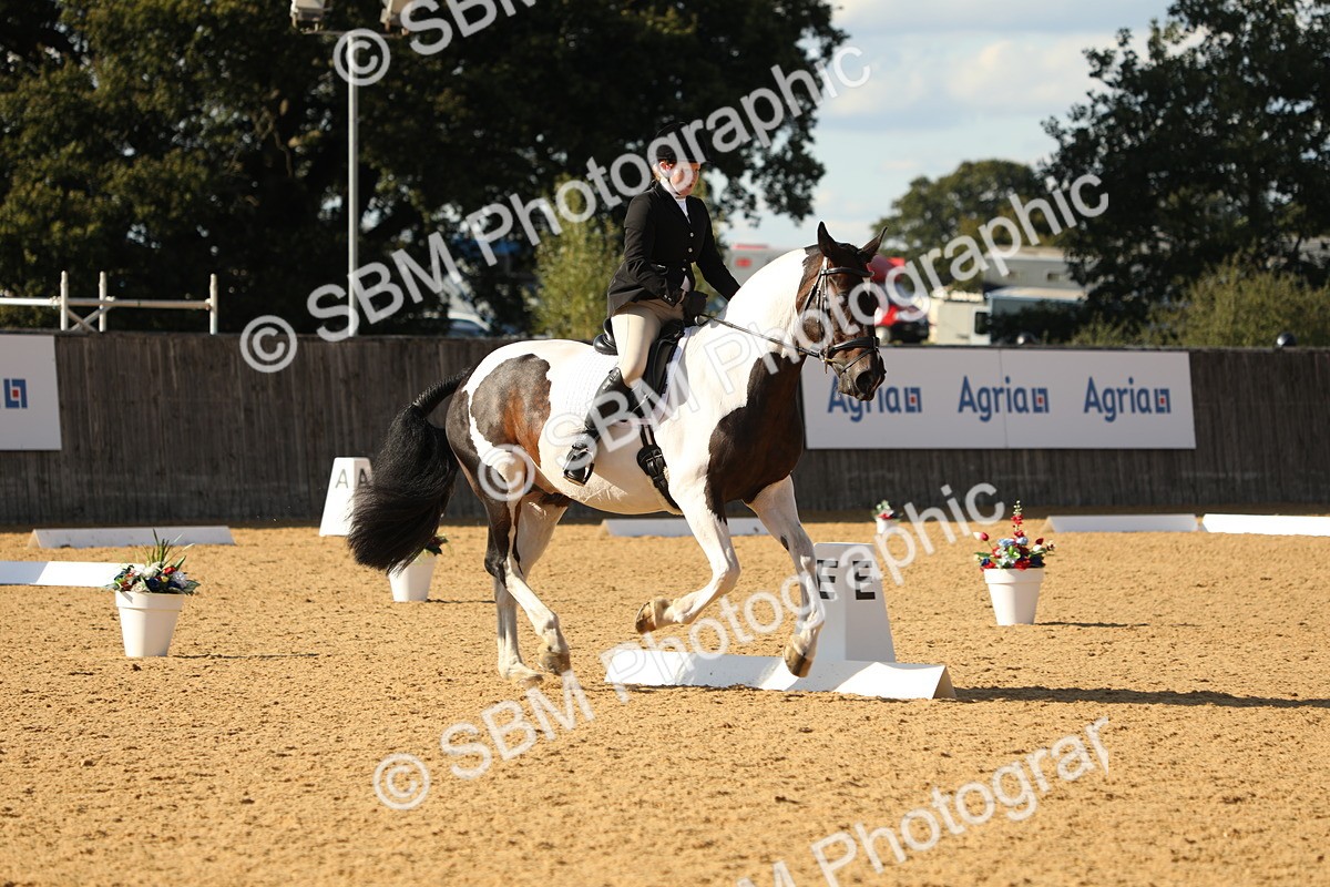 SBM_26835 - D17 - Grand Tour Championship - Novice 27