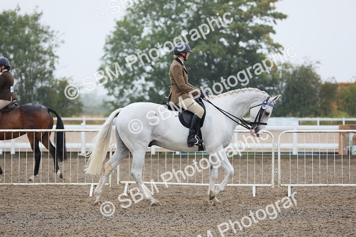 SBM_19999 - Class 802 - Ridden Groom - Helpers class
