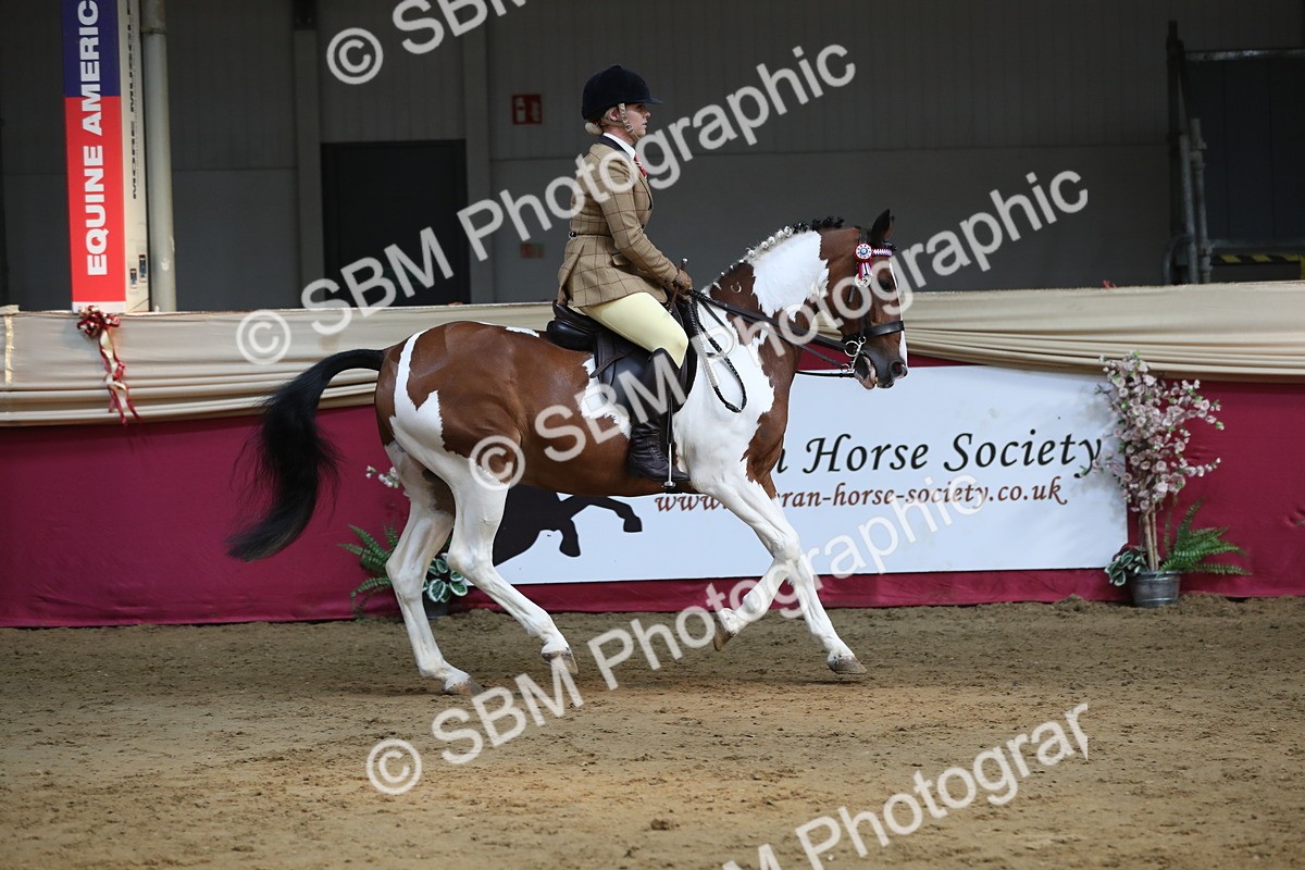 SBM_08297 - Class 11R Regional Ridden Veteran