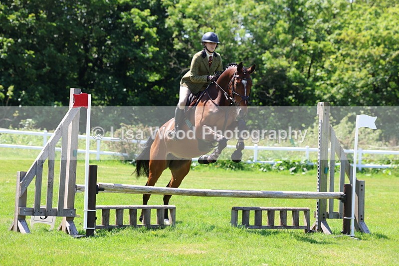 3E7A7082 - Class 30: Novice Working Hunter