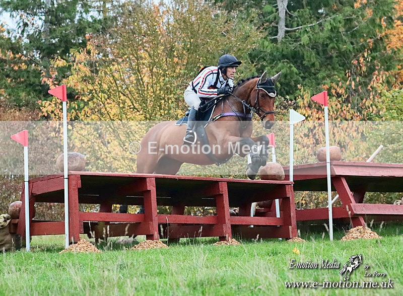 BESXC191025 2971a - Equestrian