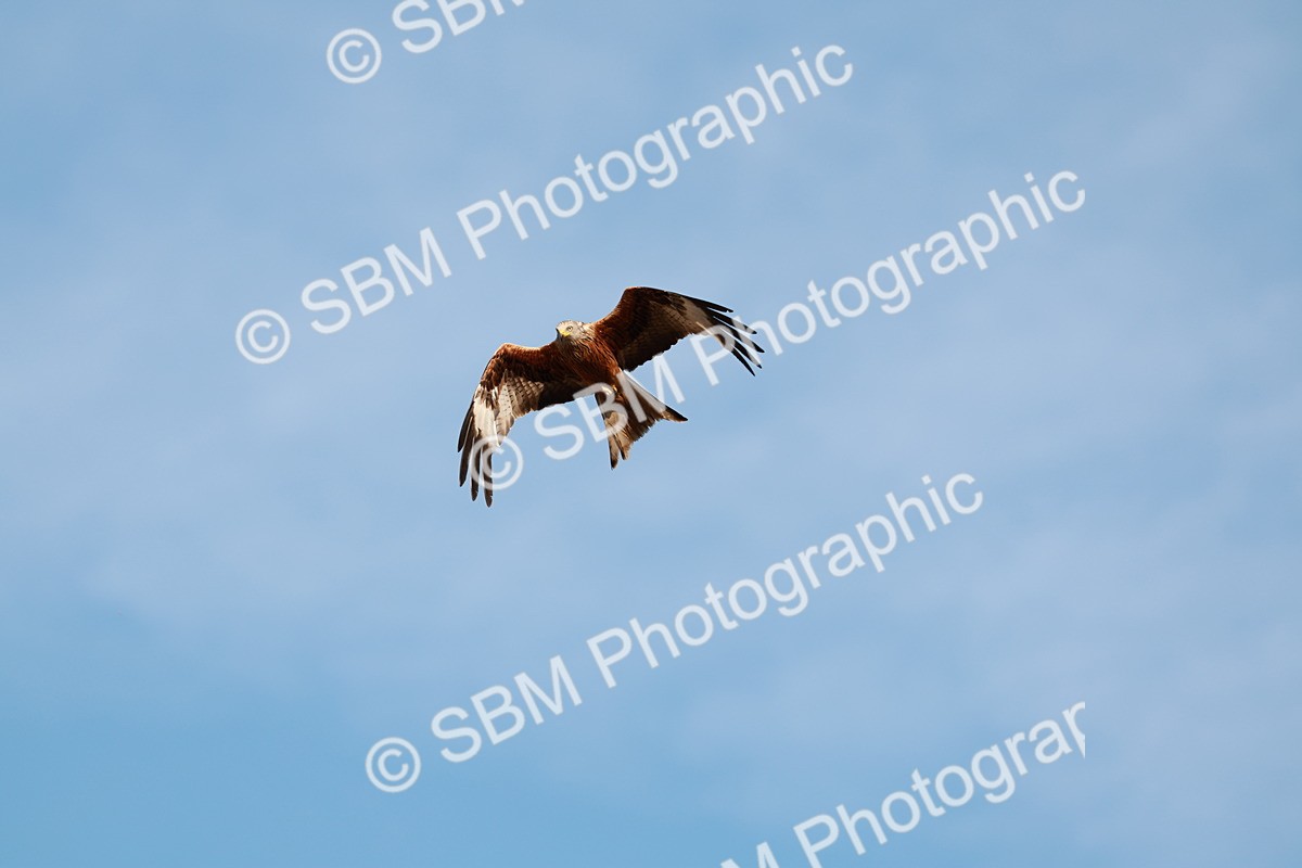 1I0A9475 - Class 7-8  - Elementary 1-PYO