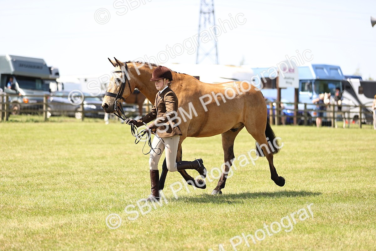 SBM_15201 - Class 79-80 - LIHS BSHA Rising Star Ridden Hunter