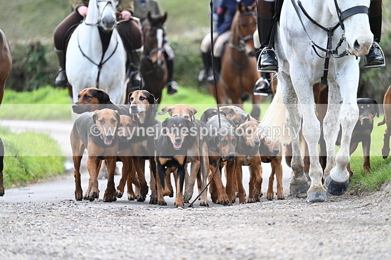 WJ7_9786 - Walk Home