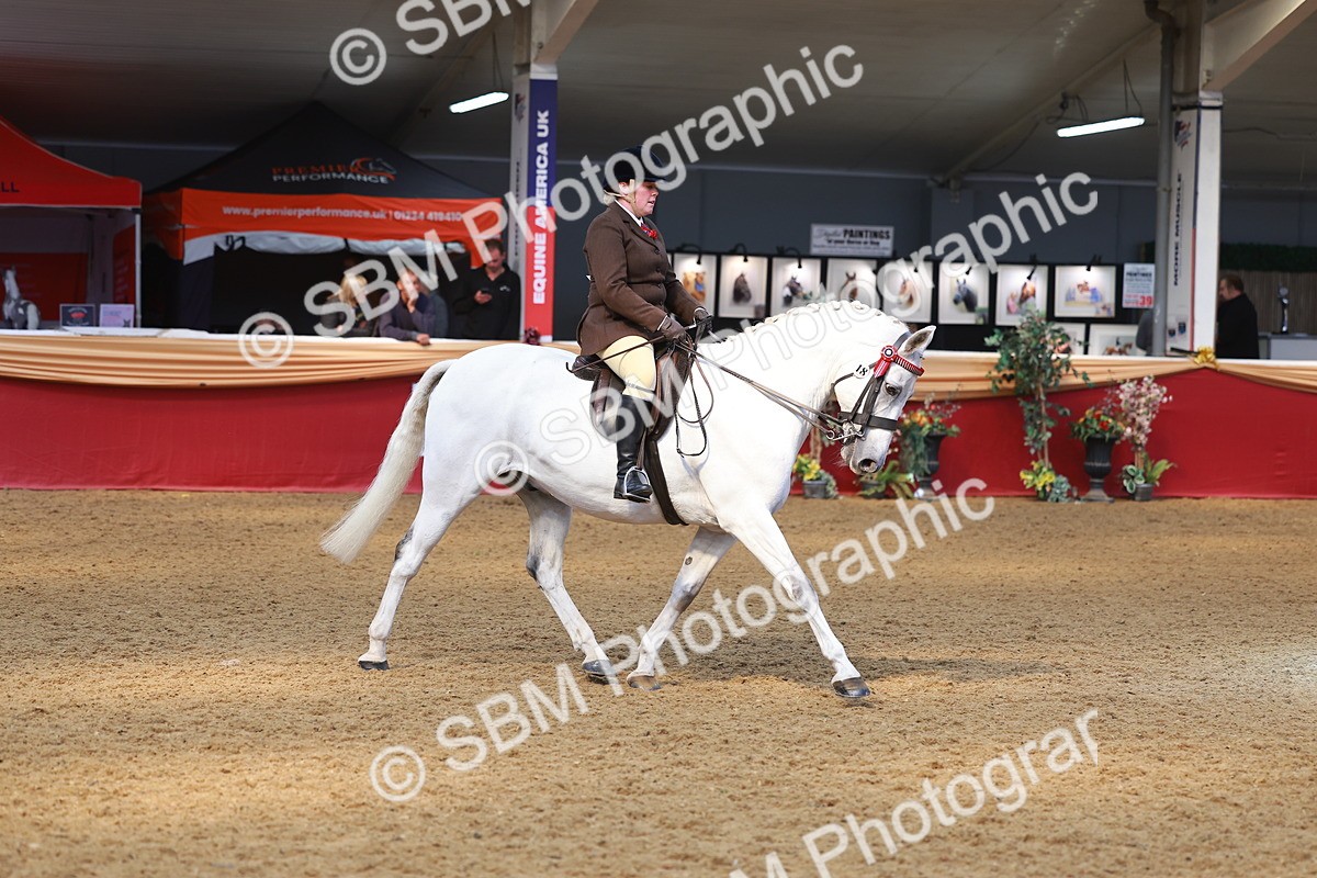 SBM_12561 - Class 103 - HOYS Veteran Qualifier - Ridden Pre Vet