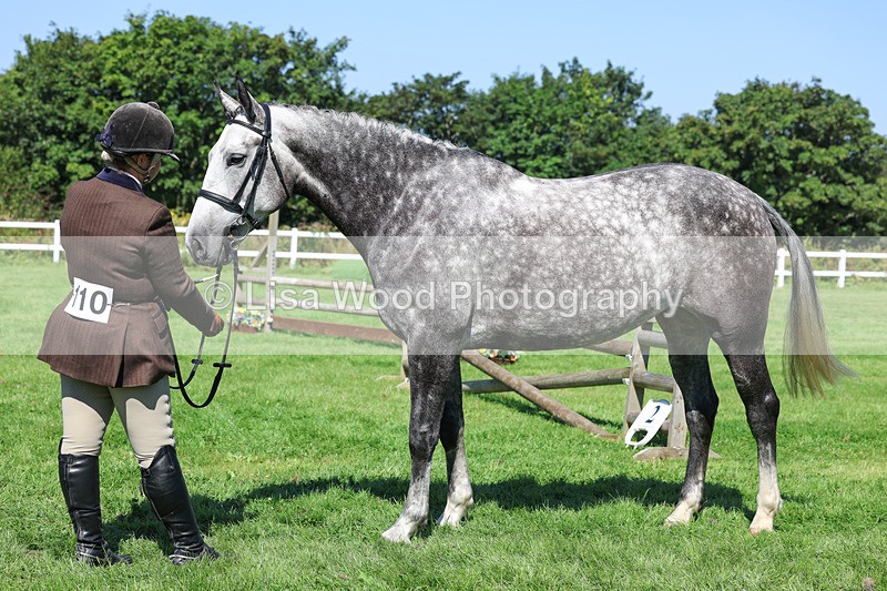 3E7A8464 - Class 4: Novice working Hunter