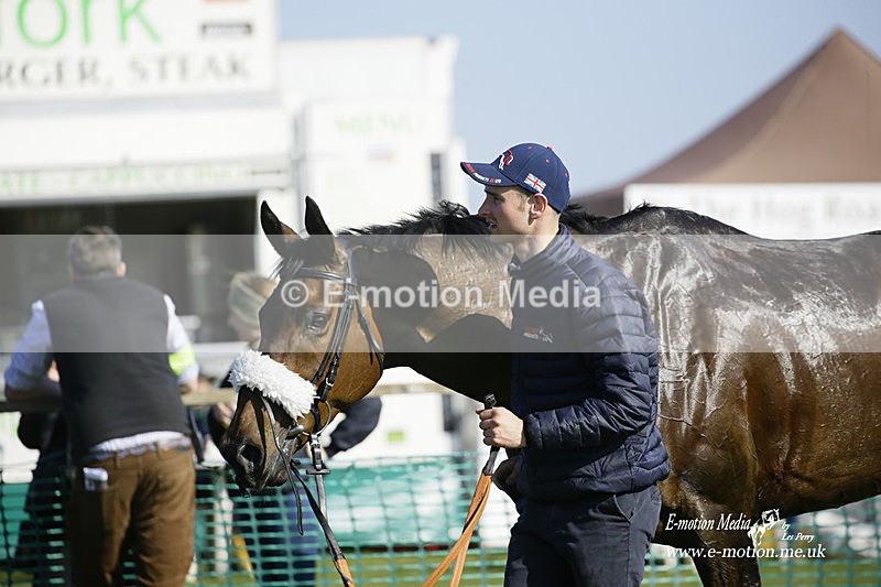 PtP 190322 622 - Wilton Hunt PtP Milborne St Andrew 19/03/22