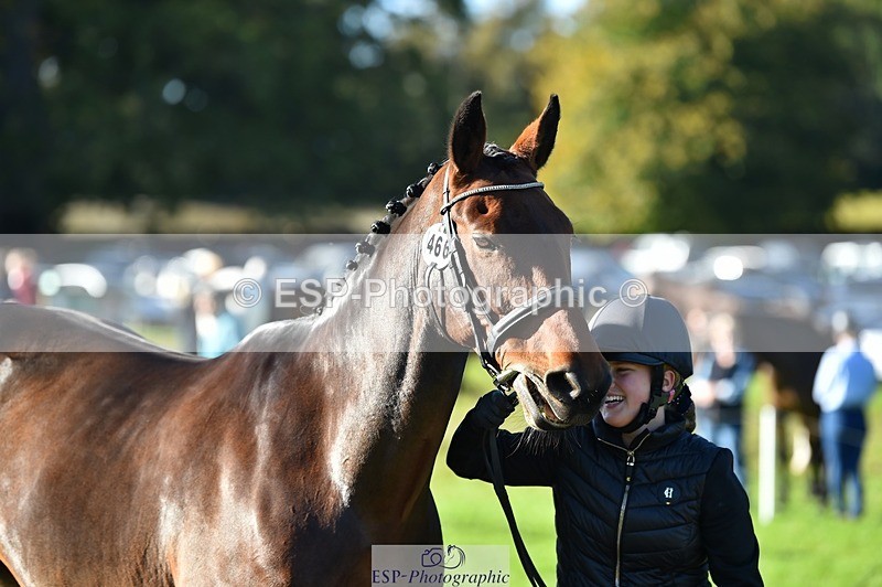 231022-105116-23544 - 466-SPARHANGER.VELVET-Tichy.Sanders-TrotUp+SJ