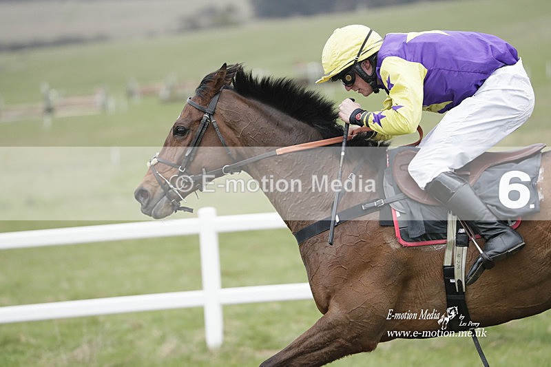 PtP 260323 0854 - New Forest Hounds Point-to-Point Larkhill 26/03/23