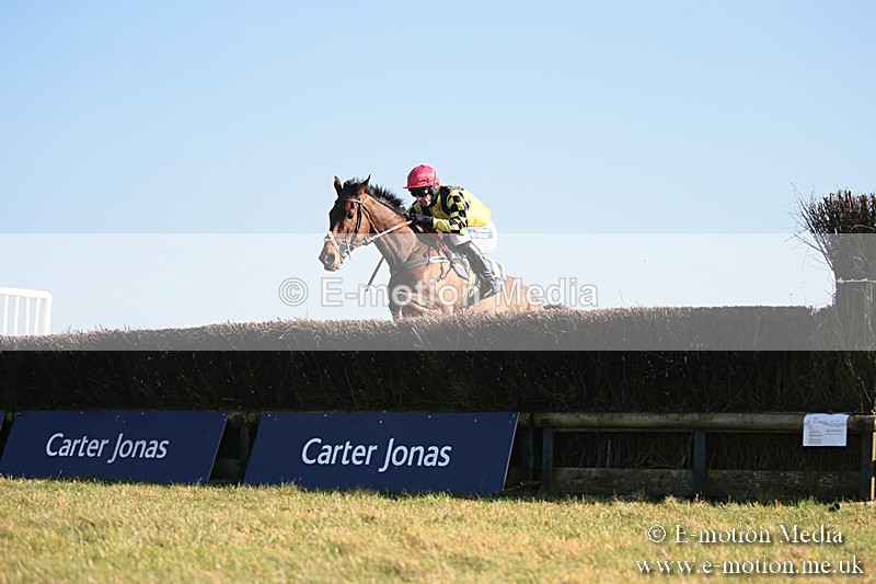 PtP 230219 356 - Vine & Craven Point-To-Point - Barbury 23/02/19