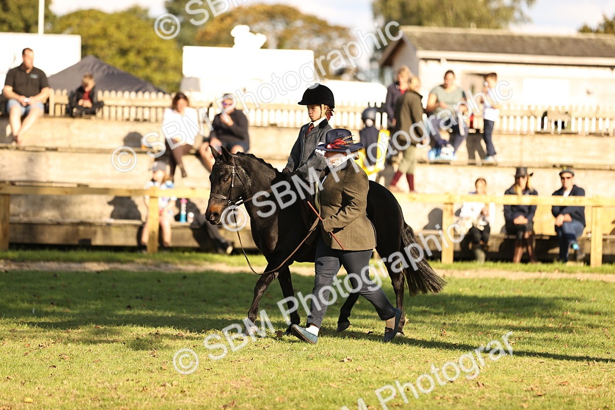 SBM_29377 - S7 - Novice & Newcomers Ridden Pony