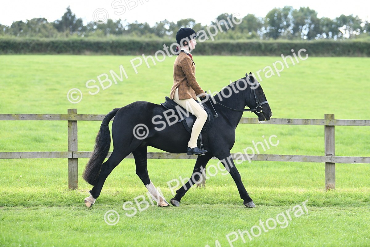 SBM_46739 - S12 - Family Horse & Pony