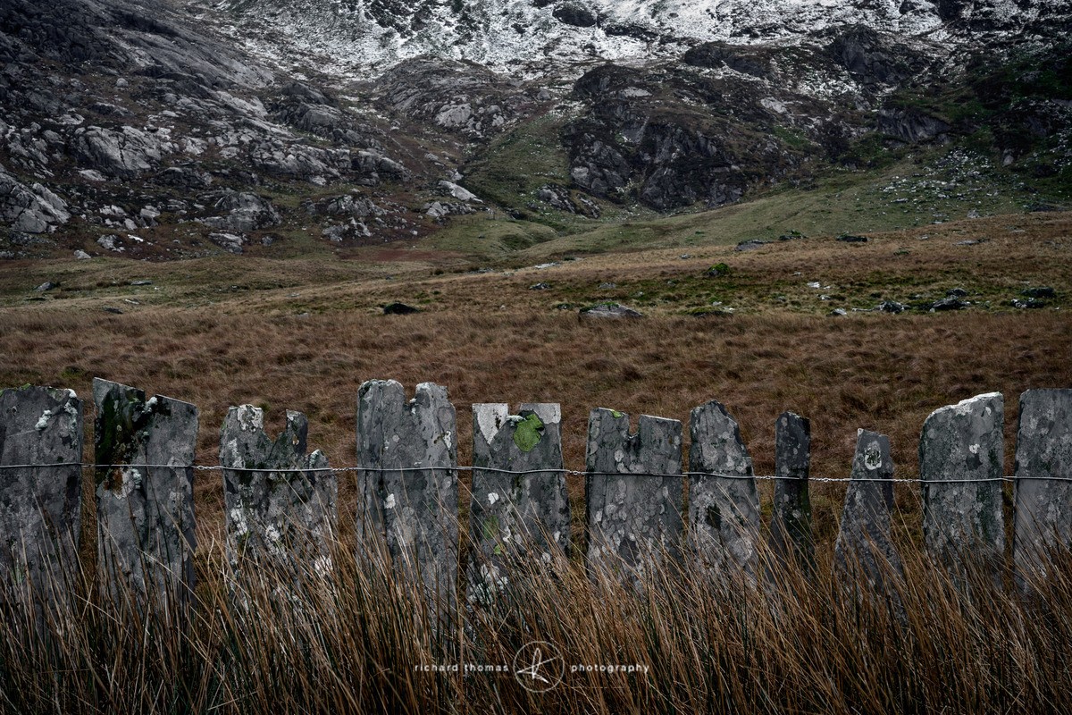 Ffens Lechi - Quarry