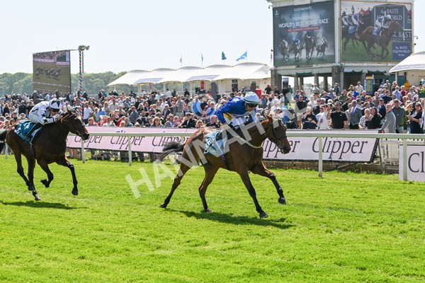 160525-Race 1-Secret Hideaway-6086 - Race 1 2.10pm Clipper EBF Marygate Fillies' Stakes
