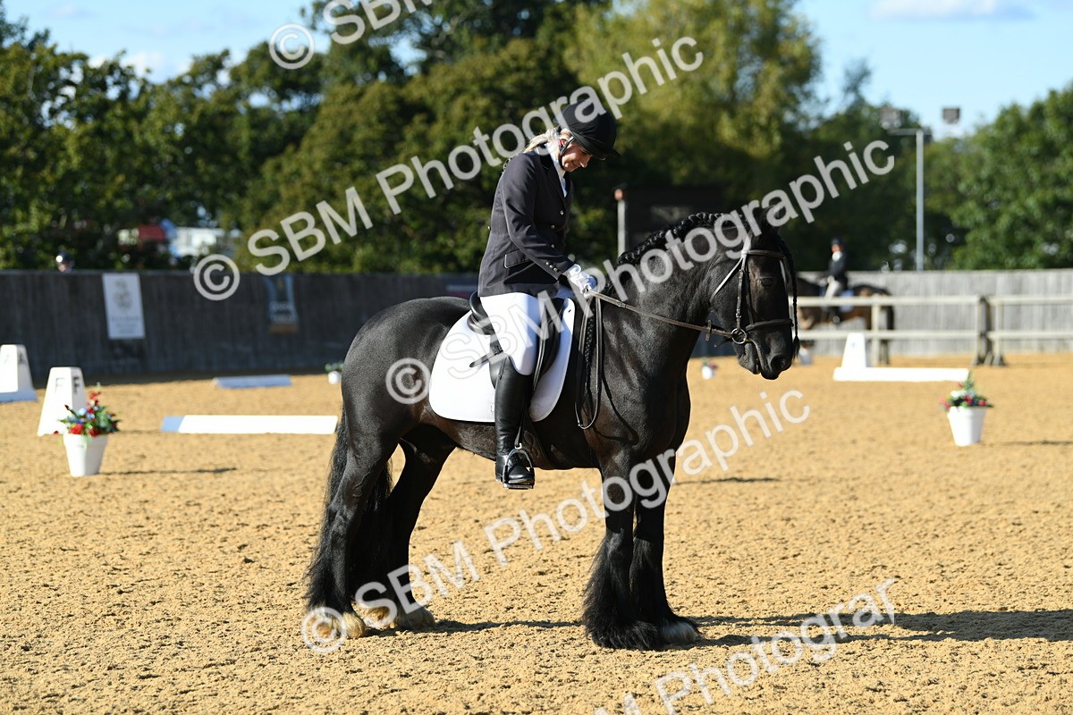 SBM_28476 - D16 - Small Tour Championship - Novice 28