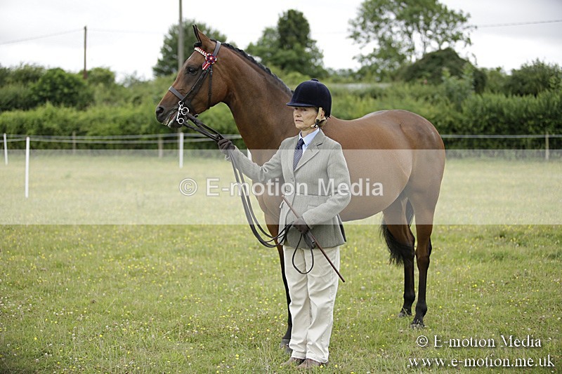 BVR160717-859 - Ring 2 BVRC Show 16/07/17