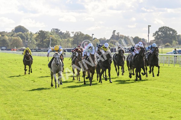 111024-Race 2-Mirabeau-1473 - Race 2 2.05pm British EBF £100,000 Final