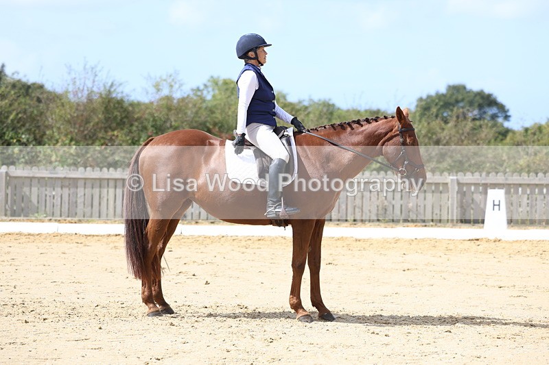 3E7A4035 - Class 9: Novice 6 Section B Championship