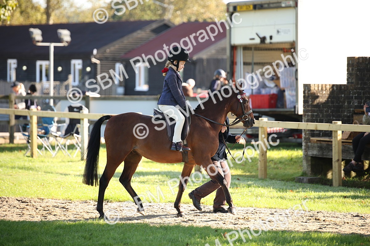 SBM_35656 - S9 - Lead Rein Equitation