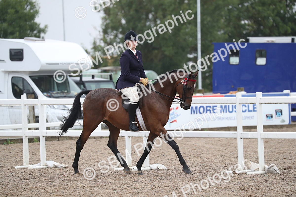 SBM_21564 - Class 602 - 2025 Area - Ridden Veteran