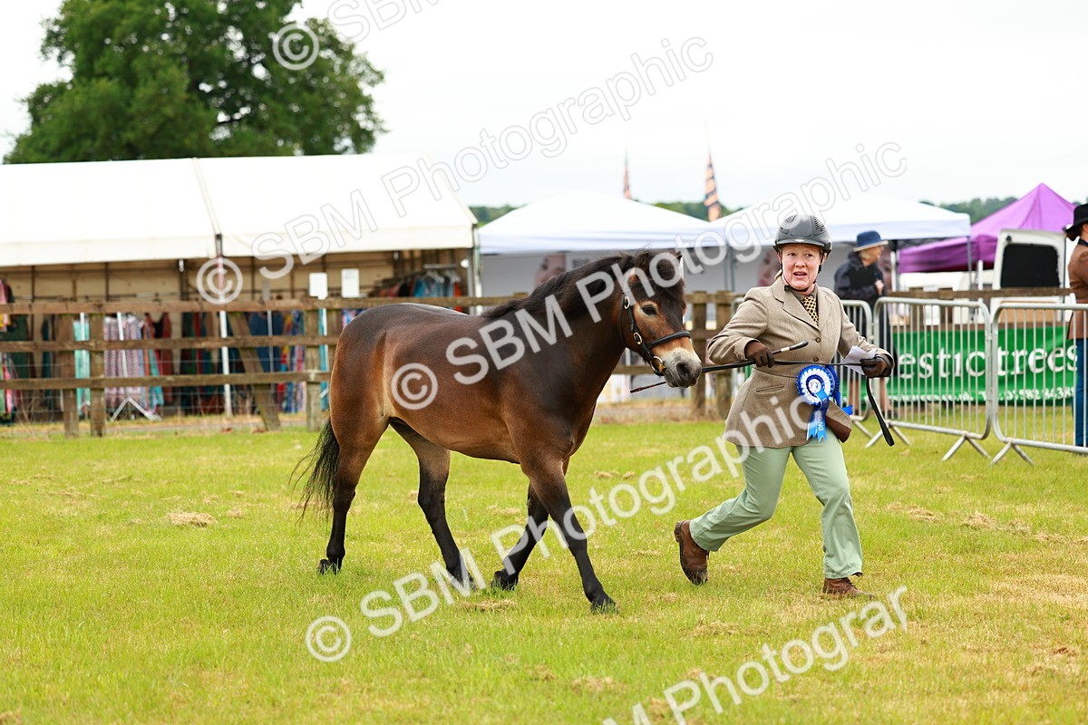 SBM_00334 - Class 58-67 - M&M Non Welsh Pony In hand