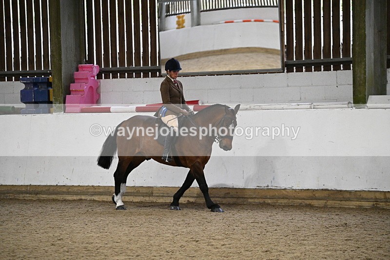 WJ7_4409 - Class 17 Ridden Cob