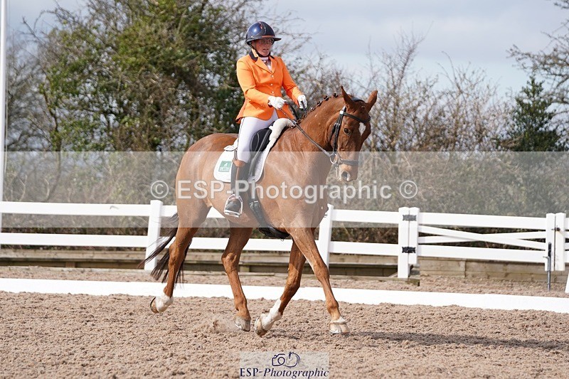 250322-110358-00199 - DR Elementary 1 Test