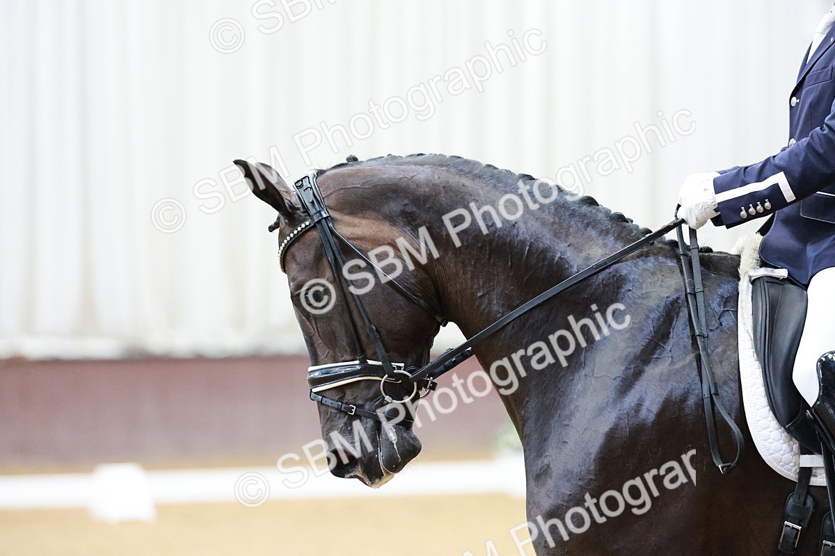 SBM_006294 - Class 3 - Medium 6 - 16.16-17.28