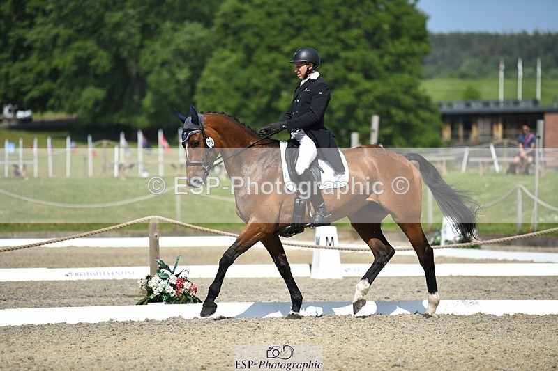 230525-102418-01702 - 312-J'ADORE_SALSA-Michael_Owen-WEDTrotUp+DR